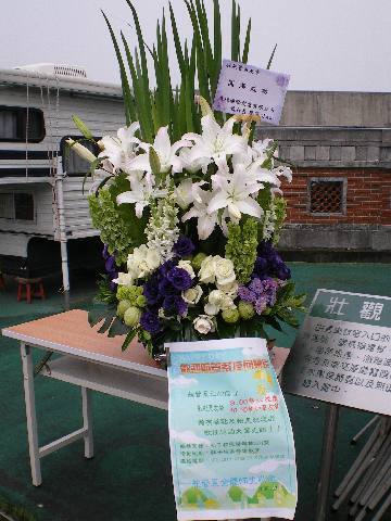 系友回娘家圖片